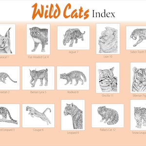 Animal Sketches: Wild Cats. A Special Edition Coloring Book by Tim Jeffs image 2