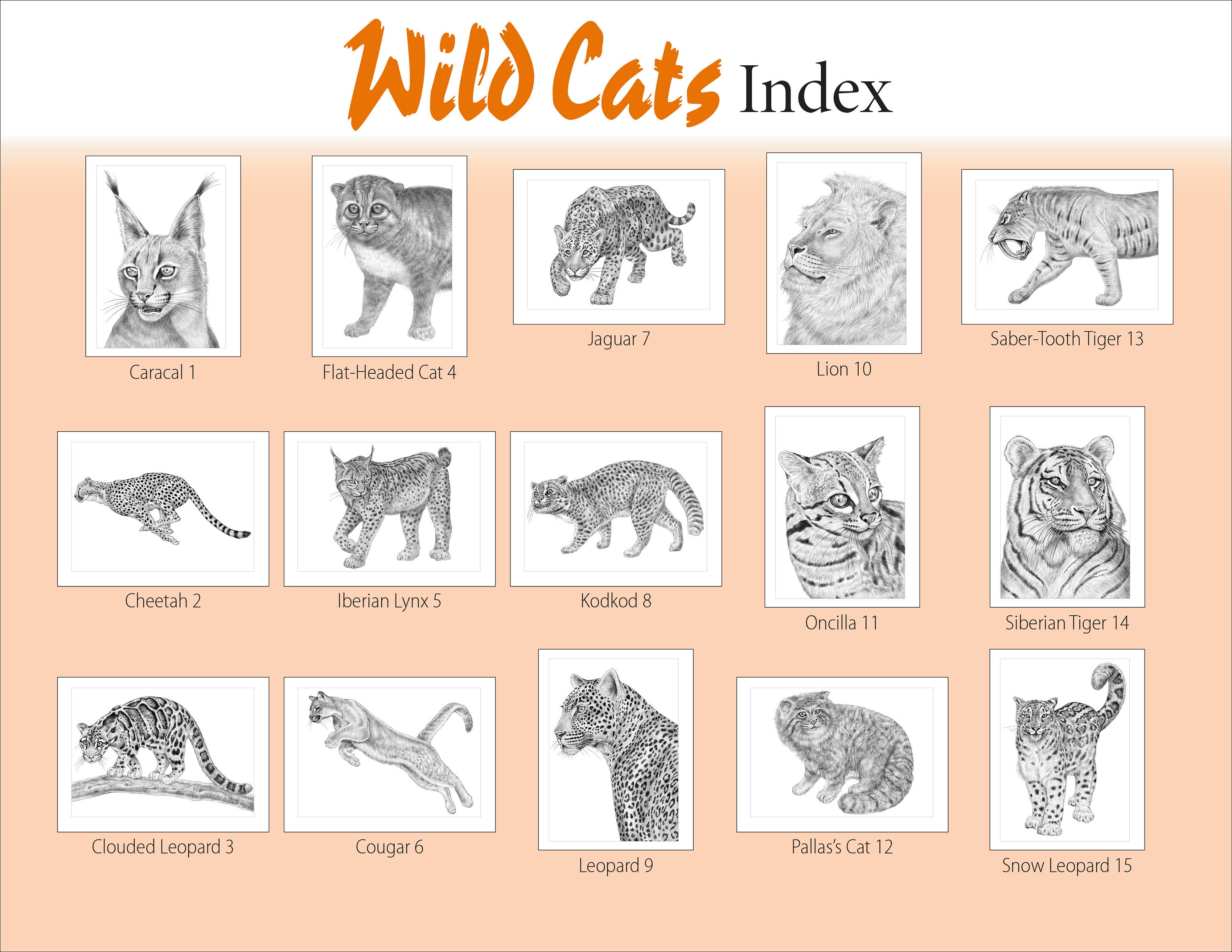 洋書 The Wild Cat Book 81sxh0OK99L._UF350,350_QL50_.jpg
