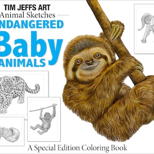 May include: A coloring book titled "Endangered Baby Animals" featuring a sloth hanging from a branch. The cover also includes illustrations of a leopard, a turtle, and an elephant.