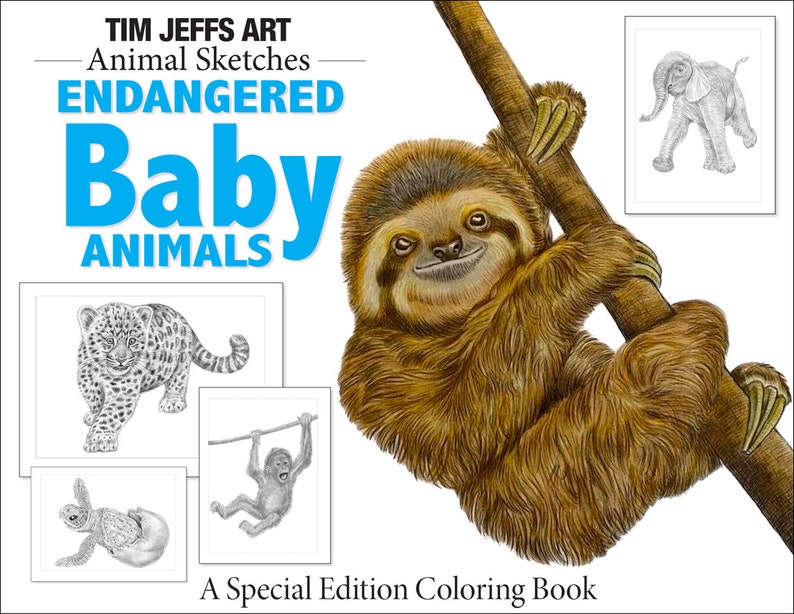 May include: A coloring book titled "Endangered Baby Animals" featuring a sloth hanging from a branch. The cover also includes illustrations of a leopard, a turtle, and an elephant.