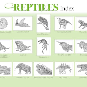 May include: A black and white illustration index of 15 different reptiles, including the Armadillo Girdled Lizard, Green Sea Turtle, Lesser Chameleon, Parasaurolophus, Thorny Devil, Attenborough's Fan-Throated Lizard, Iguana, Pinocchio Lizard, Triceratops, Mosasaurus, Bush Viper, Komodo Dragon, Mountain Horned Dragon, Stegosaurus, and Tyrannosaurus.