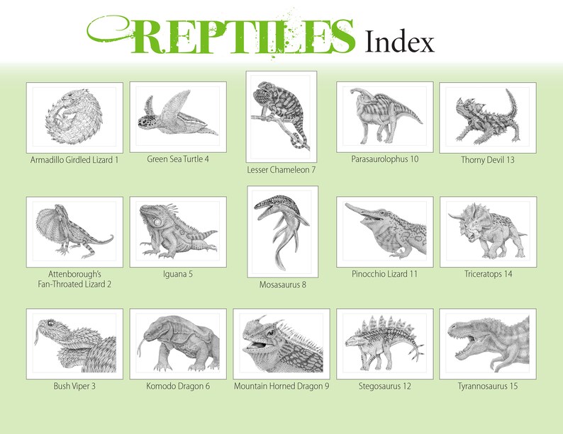 May include: A black and white illustration index of 15 different reptiles, including the Armadillo Girdled Lizard, Green Sea Turtle, Lesser Chameleon, Parasaurolophus, Thorny Devil, Attenborough's Fan-Throated Lizard, Iguana, Pinocchio Lizard, Triceratops, Mosasaurus, Bush Viper, Komodo Dragon, Mountain Horned Dragon, Stegosaurus, and Tyrannosaurus.