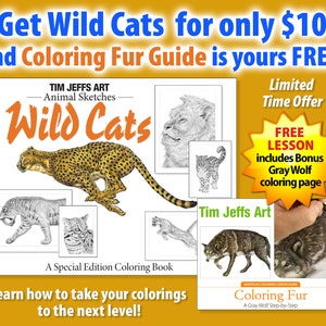 Wild Cats and Coloring Fur Guide Combo