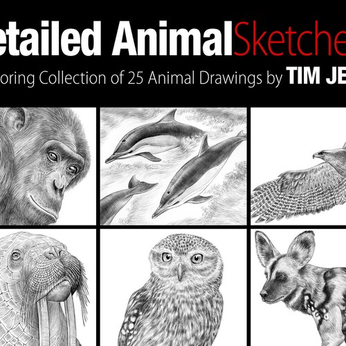 Animal Sketches: Birds. A Special Edition Coloring Book by Tim - Etsy Animal Sketches: Birds. A Special Edition Coloring Book by Tim - Etsy