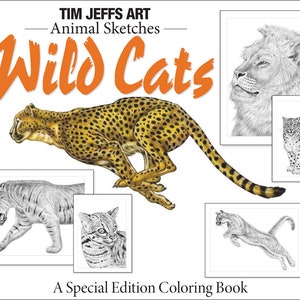 Animal Sketches: Wild Cats. A Special Edition Coloring Book by Tim Jeffs image 1