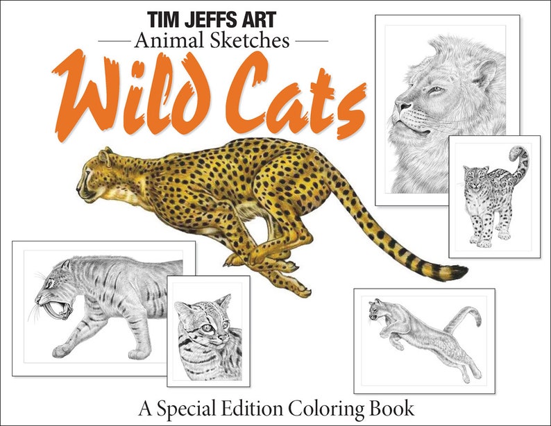 Animal Sketches: Wild Cats. A Special Edition Coloring Book by Tim Jeffs image 1