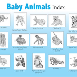 May include: A chart with illustrations of baby animals, including a leopard, elephant, sea turtle, polar bear, lemur, cheetah, rabbit, gorilla, sloth, tiger, rhinoceros, panda, penguin, red panda, and orangutan. Each animal is numbered with a corresponding number on the chart.