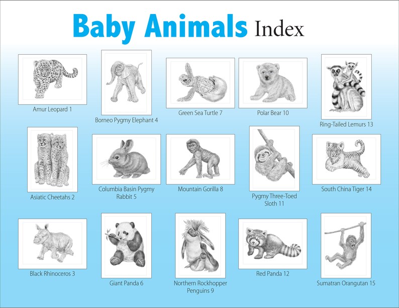 May include: A chart with illustrations of baby animals, including a leopard, elephant, sea turtle, polar bear, lemur, cheetah, rabbit, gorilla, sloth, tiger, rhinoceros, panda, penguin, red panda, and orangutan. Each animal is numbered with a corresponding number on the chart.