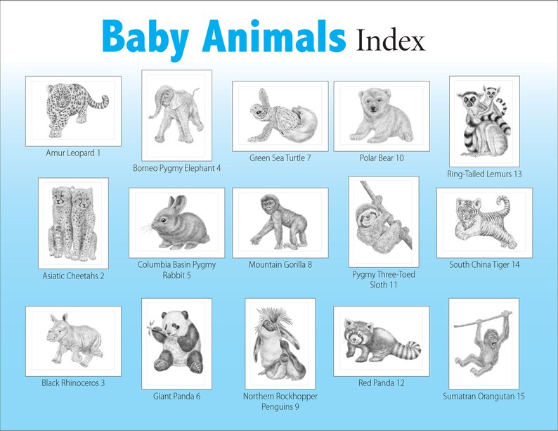 Endangered Baby Animals. A Special Edition Digital Download Coloring Book by Tim Jeffs image 2