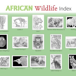 African Wildlife. Digital Download Coloring Book by Tim Jeffs image 2