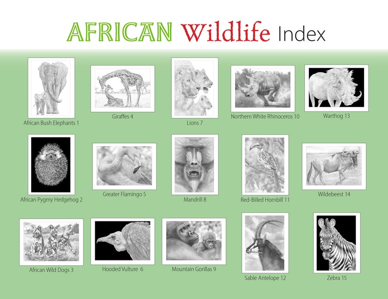 African Wildlife. Digital Download Coloring Book by Tim Jeffs image 2