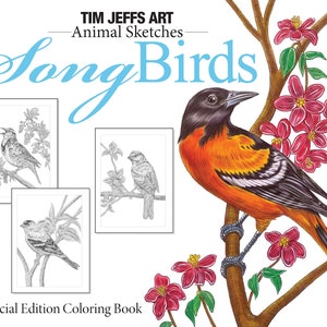 Animal Sketches: Song Birds. A Special Edition Digital Download Coloring Book by Tim Jeffs image 1