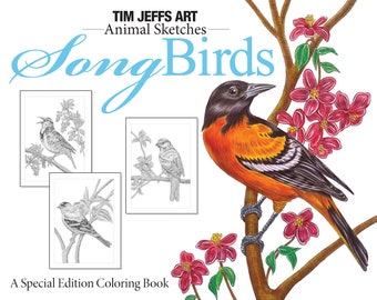 Animal Sketches: Song Birds. A Special Edition Digital Download Coloring Book by Tim Jeffs