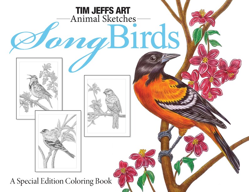 Animal Sketches: Song Birds. A Special Edition Digital Download Coloring Book by Tim Jeffs image 1