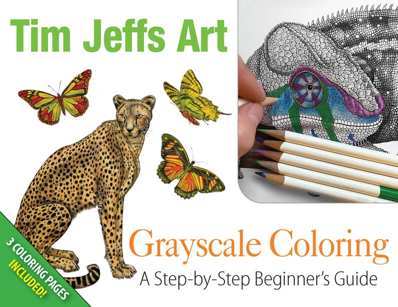 GRAYSCALE COLORING LESSON Beginner's Guide image 1