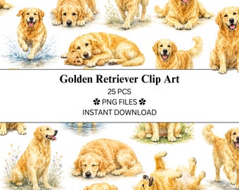 Paquete de 25 imágenes prediseñadas de Golden Retriever / Archivos PNG / PNG transparente / Uso comercial