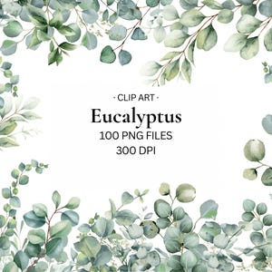Eucalyptus Clip Art | PNG | Watercolour Eucalyptus Set | Frames | Transparent Background | For Planners & Journals | Commercial Use | SALE