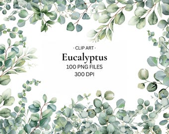 Könnte beinhalten: Ein digitaler Grafikrahmen mit Aquarell-Eukalyptusblättern in Salbei- und Waldgrüntönen. In der Mitte steht der Text: CLIP ART, Eucalyptus, 100 PNG FILES, 300 DPI. Das Blattwerk bildet den oberen und unteren Rand des Bildes.