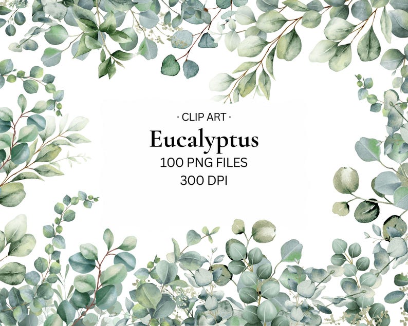 May include: A digital graphic frame featuring watercolor eucalyptus leaves in shades of sage and forest green. The center contains the text: CLIP ART, Eucalyptus, 100 PNG FILES, 300 DPI. The foliage borders the top and bottom edges of the image.