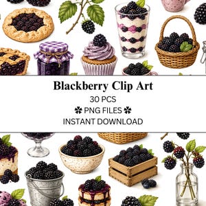 Op de afbeelding: Een verzameling braambes-clipart met 30 PNG-bestanden met illustraties van braambessen, braambessentaarten, taartjes, cupcakes, parfaits, rieten manden, houten kisten, glazen potten en kommen gevuld met verse donkerpaarse braambessen.
