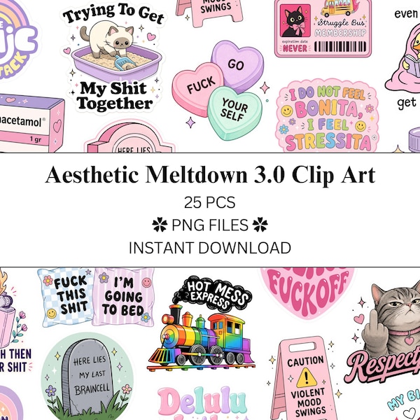 Lot de 25 cliparts Meltdown esthétique 3.0 | Fichiers PNG | PNG transparents | Utilisation commerciale