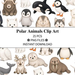 Puede incluir: Ilustraciones de acuarela de animales polares, como un pingüino, un oso polar y una morsa. El texto "Polar Animals Clip Art" se muestra encima de los animales, junto con "21 PCS", "PNG FILES" y "INSTANT DOWNLOAD".