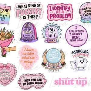 May include: A collection of twelve colorful stickers featuring various illustrations and text including phrases like What Kind Of Fuckery Is This, I Identify As A Problem, Looks Like You're Fucked, I Have No Idea What I'm Doing, and Shut Up.