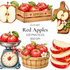 105 st röda äpplen clipart | PNG-filer | Transparent PNG | Kommersiellt bruk | REA