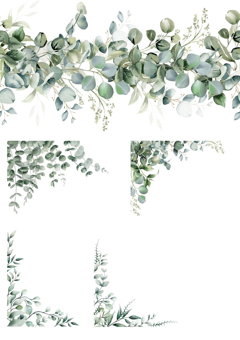 May include: A collection of watercolor illustrations featuring eucalyptus branches and leaves in various shades of green and sage. The set includes a horizontal border arrangement and four distinct corner designs with foliage on a white background.