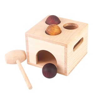 Box with Balls to Push Montessori Sensorial Material Fine Motor Activity Learning Wooden Toys Educational Activity Sensorial Toddler Gifts