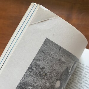May include: A black and white photo of a person sitting in a field of tall grass. The person is wearing a dark shirt and pants. The photo is from an old book.