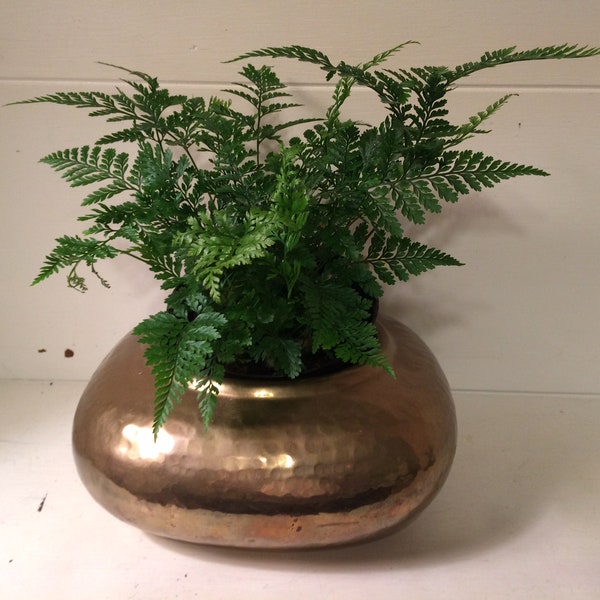 Vintage Rounded Square Hammered Brass Indoor Planter Pot