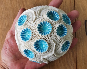 Medium porcelain pod with fused glass for table or wall. Nature sea ocean inspired home decor