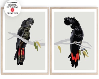 Conjunto de 2 estampas de cacatuas pretas, downloads de cacatuas pretas de cauda vermelha, arte de parede de cacatuas pretas para impressão, estampas de pássaros australianos, cacatuas