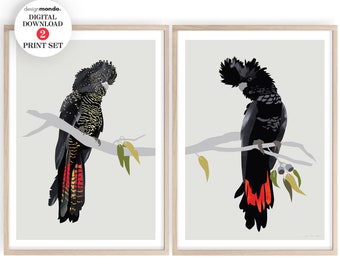 Black Cockatoos Set of 2 Prints, Red-tailed Black Cockatoos Downloads, Printable Black Cockatoos Wall Art, Australian Bird Prints, Cockatoos