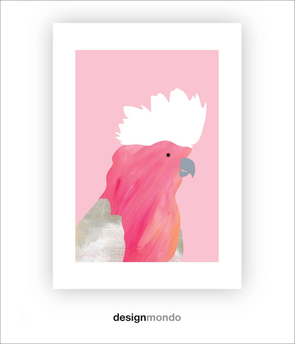 Birds Set of 3 Prints Australian Birds Wall Art Set 3 Etsy Australia