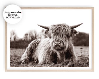 Estampas de vaca das montanhas escocesas, impressão de animais, impressão fotográfica de animais, arte de parede de vaca, arte de parede de vida selvagem, impressão sépia de vaca de Highland,