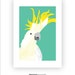 Cockatoo Wall Art Printable Cockatoo Prints Printable Bird - Etsy