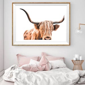 Highland Cow Print, Cow Printable, Wildlife Photography, Animal Prints, Animal Wall Art, Scottish Animals, Cow Wall Art, Large Wall Art, Cow image 4