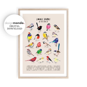 Birds Printable, Finches and Robins Identification Chart, Small Birds Wall Art, Australian Small Birds Chart, Fairy Wrens Prints, Bird Decor