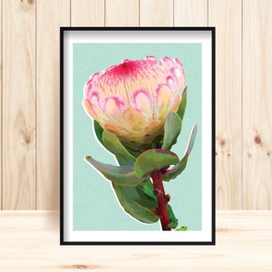 Pink Protea Print, Native Florals, Botanic Decor, Wildflower Prints, Native Garden, Instant Download, Digital Floral Print, Printable Art