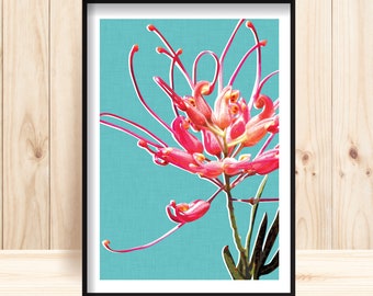 Grevillea Print, Grevillea Wall Art, Native Flower Print, Australian Wildflower Wall Art, Native Plant Print, Wildflower Decor, WA Grevillea