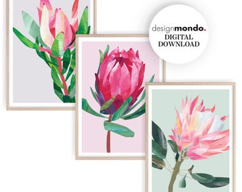 Protea Print Set, Printable Protea Set, Wall Art Print Set of 3, Hand Painted Proteas Art, Print Set, Australian Flowers Print Set, Florals