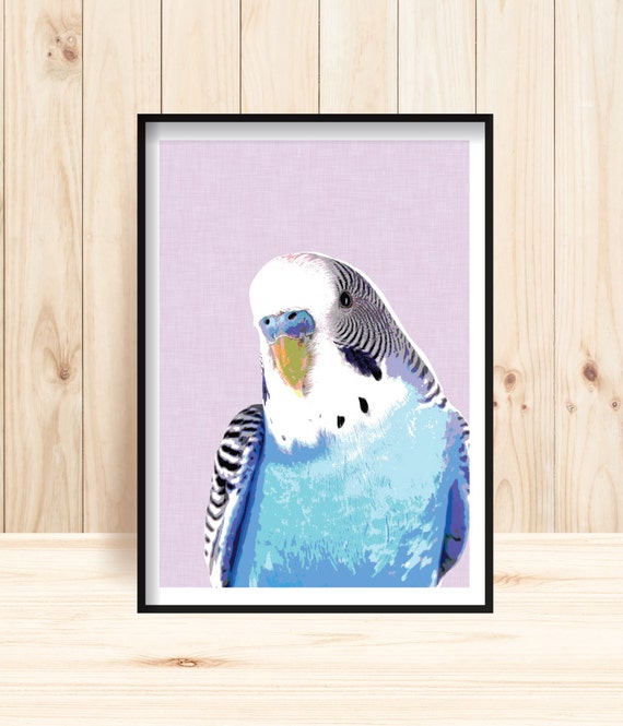 Budgie Art Prints, Blue Budgerigar Printable, Budgerigar Instant.