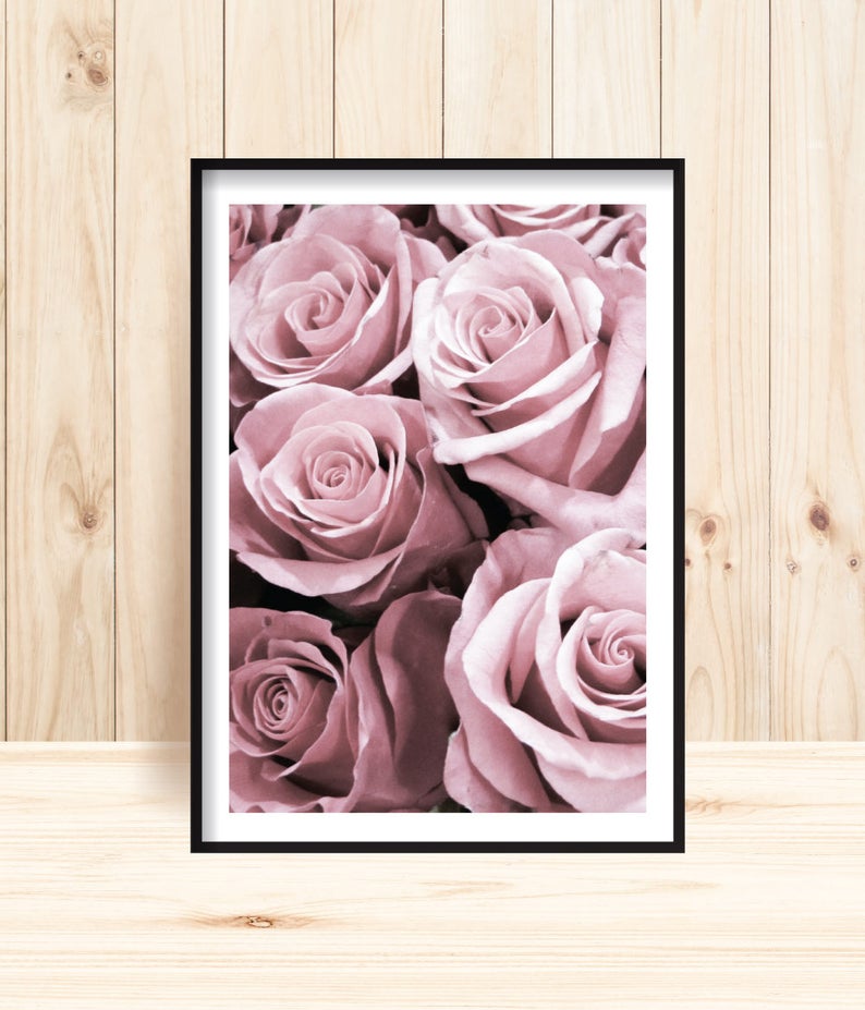 Roses Prints Blush Pink Roses Wall Artmodern Home Decor Etsy