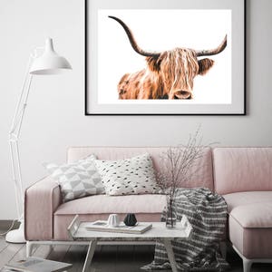 Highland Cow Print, Cow Printable, Wildlife Photography, Animal Prints, Animal Wall Art, Scottish Animals, Cow Wall Art, Large Wall Art, Cow image 3