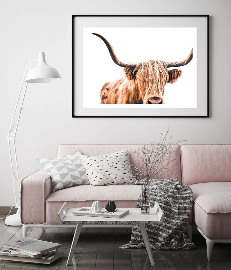 Highland Cow Print, Cow Printable, Wildlife Photography, Animal Prints, Animal Wall Art, Scottish Animals, Cow Wall Art, Large Wall Art, Cow image 3