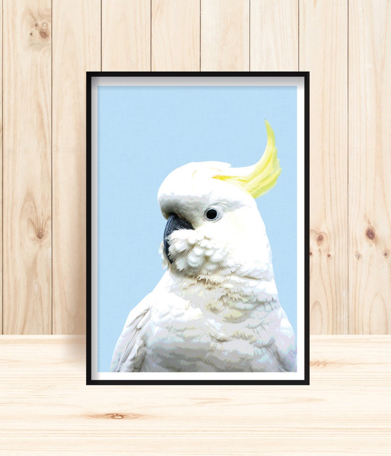 Cockatoo Prints Sulphur Crested Cockatoo Wall Art Australian Etsy