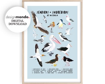 Seabirds and Shorebirds Printable, Beach Decor, Montessori Poster, Bird Lover Gift, Australian Birds Wall Chart, Coastal Home, Bird Prints