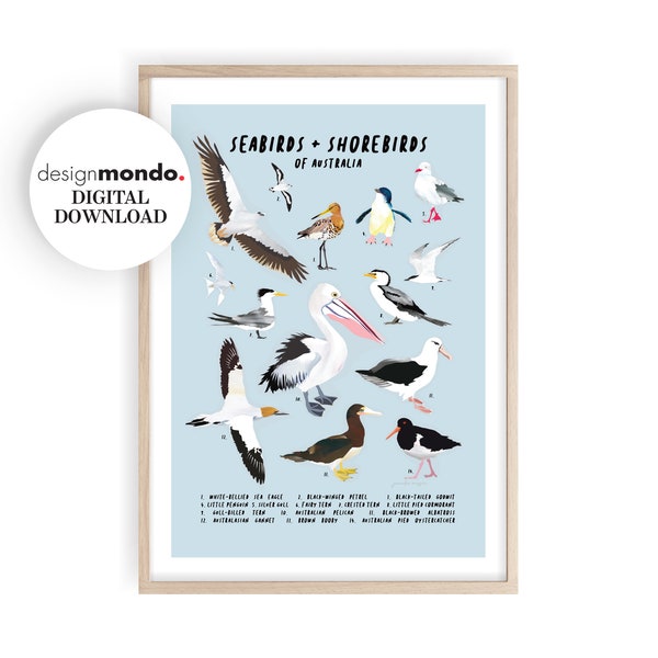 Seabirds and Shorebirds Printable, Beach Decor, Montessori Poster, Bird Lover Gift, Australian Birds Wall Chart, Coastal Home, Bird Prints